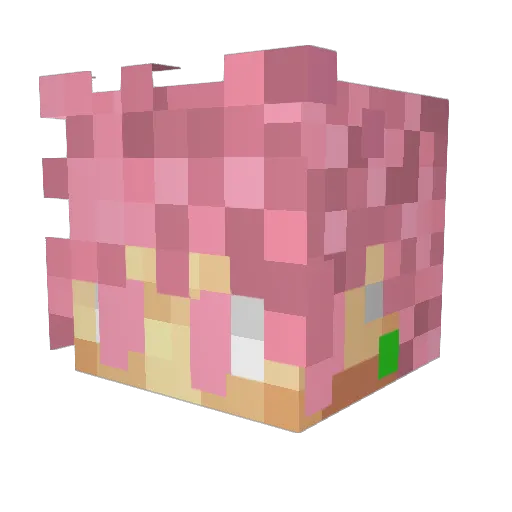 YTpurtle Minecraft avatar head, 3D render
