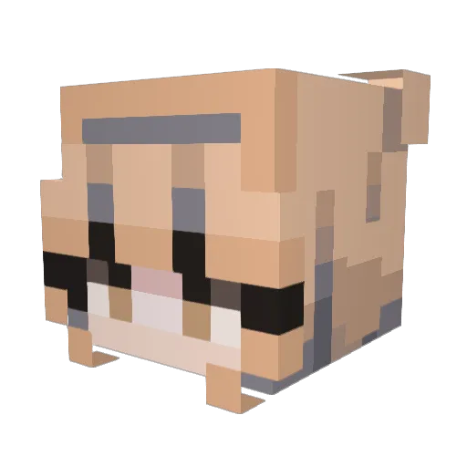 YUN7G Minecraft avatar head, 3D render