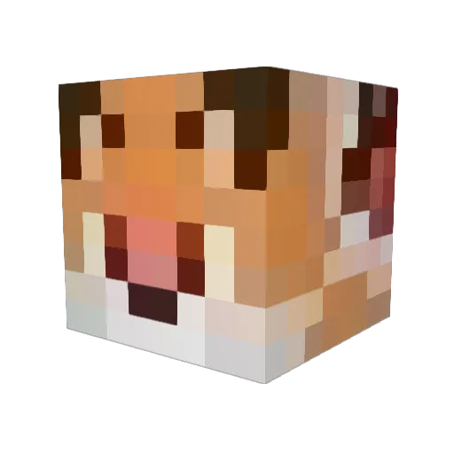 YUNA0901 Minecraft avatar head, 3D render