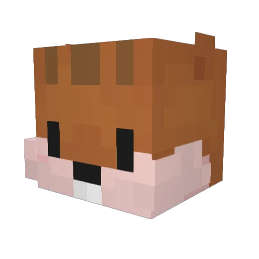 YURA_0 Minecraft avatar head, 3D render