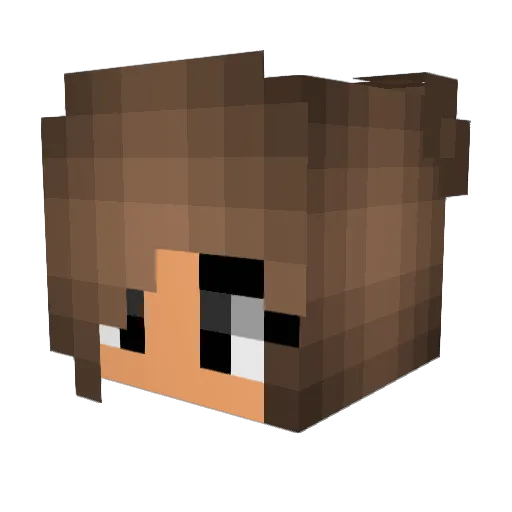 YUZUFLY Minecraft avatar head, 3D render