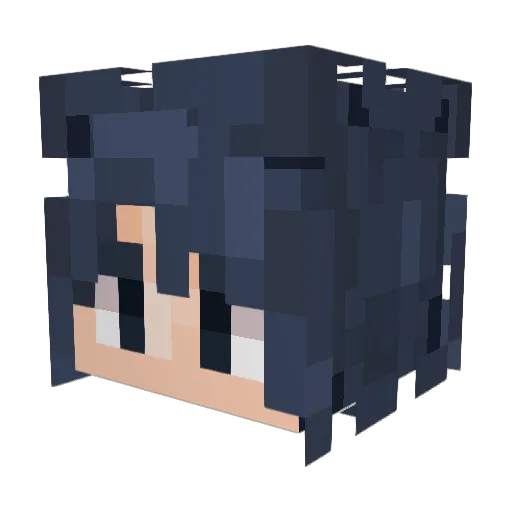 YWenzhe Minecraft avatar head, 3D render