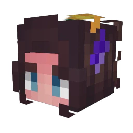 YX_Lemon Minecraft avatar head, 3D render