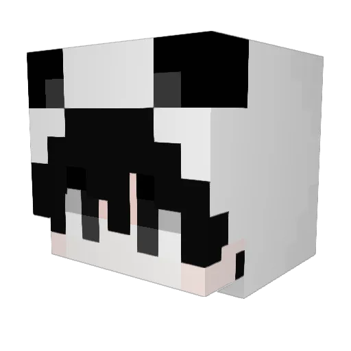 YYANDWW666 Minecraft avatar head, 3D render