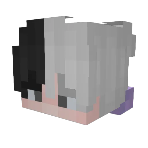 YYDZX Minecraft avatar head, 3D render