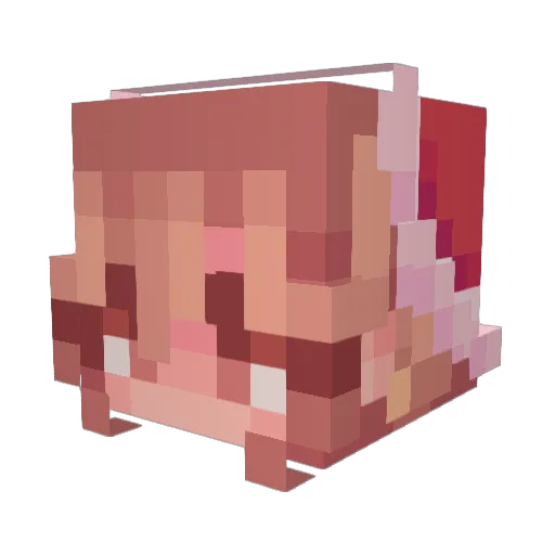 YYGG123 Minecraft avatar head, 3D render