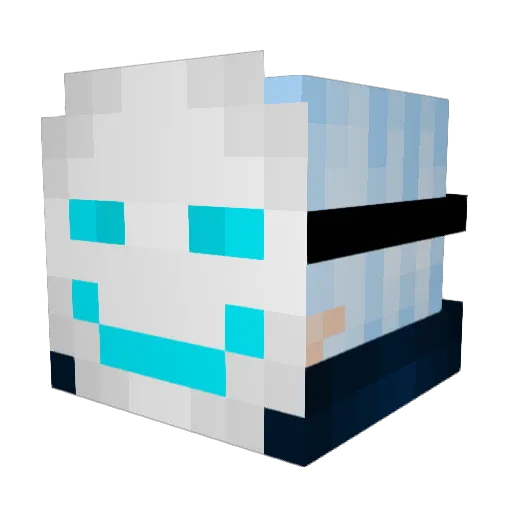 Y_Adam_Y Minecraft avatar head, 3D render