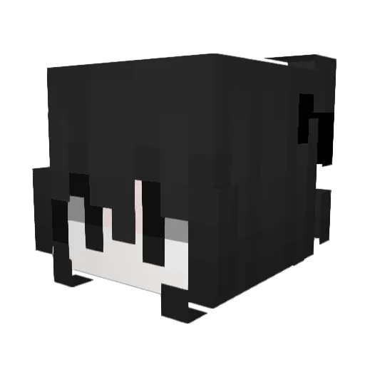 Y_ny Minecraft avatar head, 3D render
