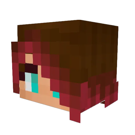 YaBoyNickIdk Minecraft avatar head, 3D render