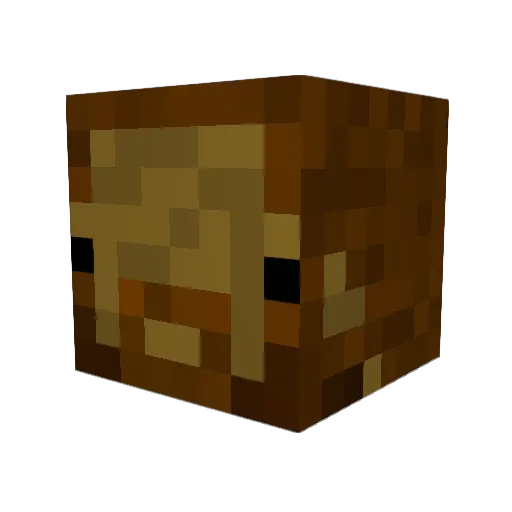 YaGamerBoi Minecraft avatar head, 3D render