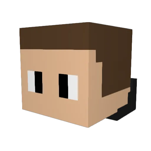 YaLol_ Minecraft avatar head, 3D render