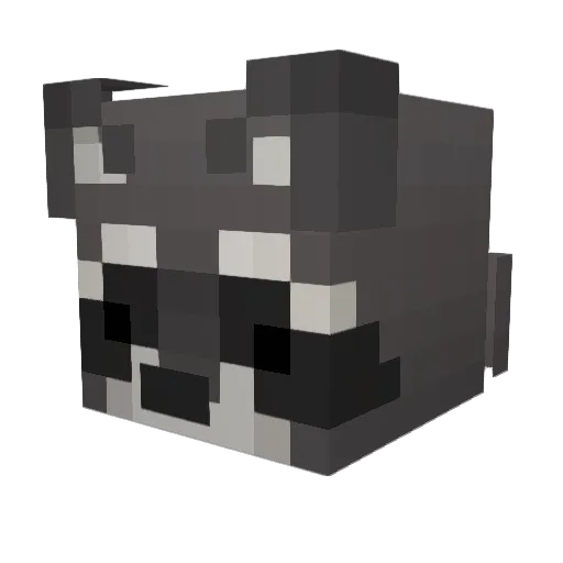 YaNotEnot Minecraft avatar head, 3D render