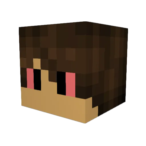 YaYeetinJoshy Minecraft avatar head, 3D render