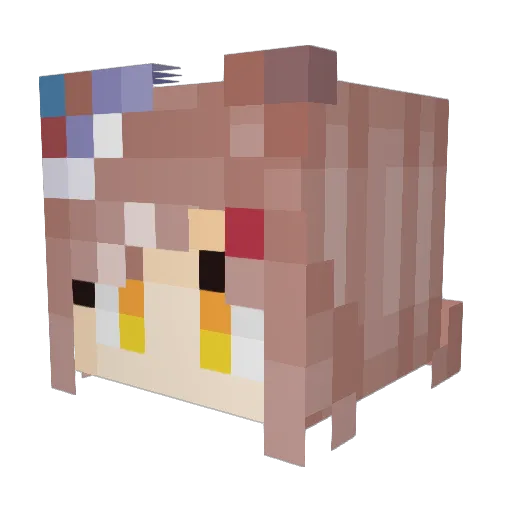 YaYeezled Minecraft avatar head, 3D render