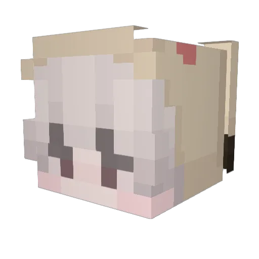 Yaa00 Minecraft avatar head, 3D render