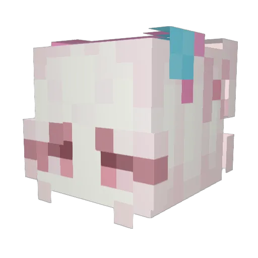 YaaM_NyaM Minecraft avatar head, 3D render