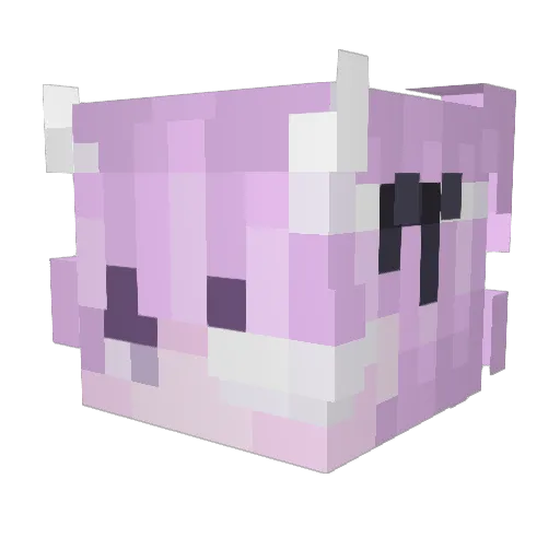 Yaasura Minecraft avatar head, 3D render