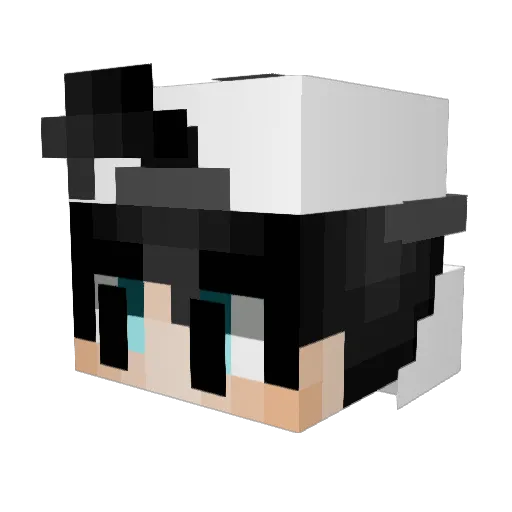 Yaboynasty Minecraft avatar head, 3D render