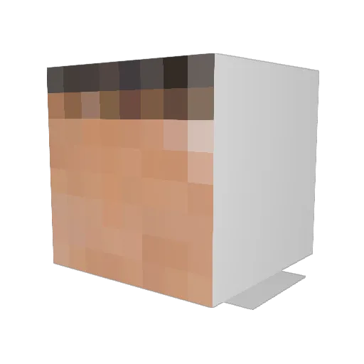 Yachtopia Minecraft avatar head, 3D render