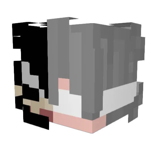 Yaffs2 Minecraft avatar head, 3D render