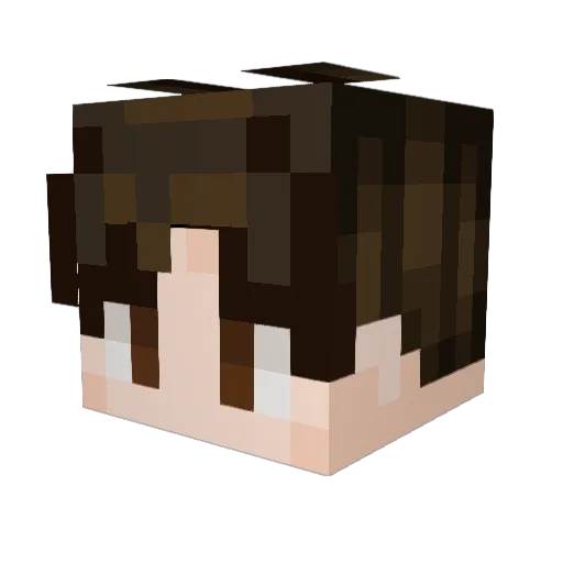 YagoPeixoto Minecraft avatar head, 3D render