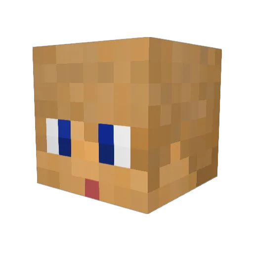 Yahymn Minecraft avatar head, 3D render