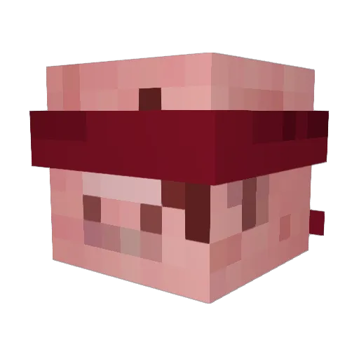 YakzOrYk Minecraft avatar head, 3D render