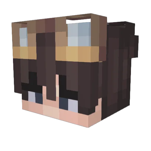 Yalc321 Minecraft avatar head, 3D render