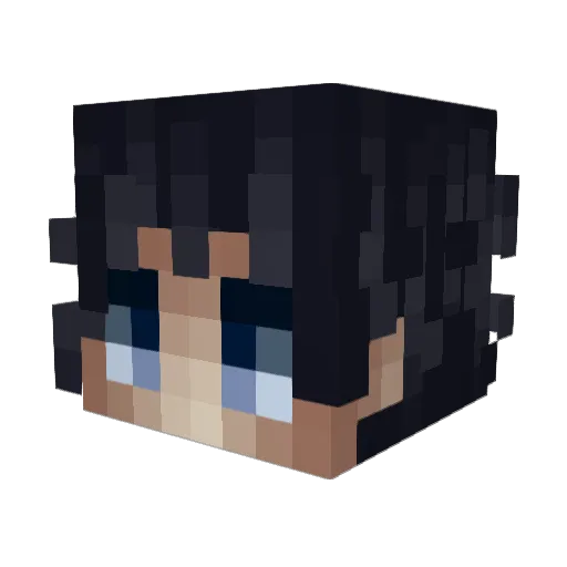 YallP_ Minecraft avatar head, 3D render
