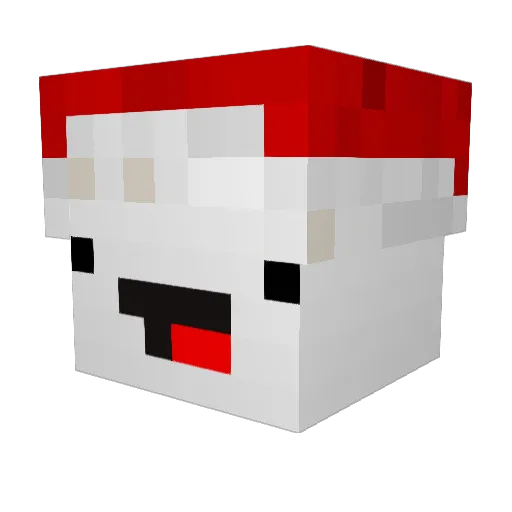 Yally_playz Minecraft avatar head, 3D render