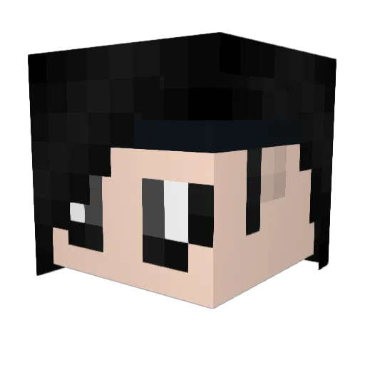 YamaDarkwing Minecraft avatar head, 3D render