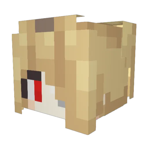 YamiLora Minecraft avatar head, 3D render