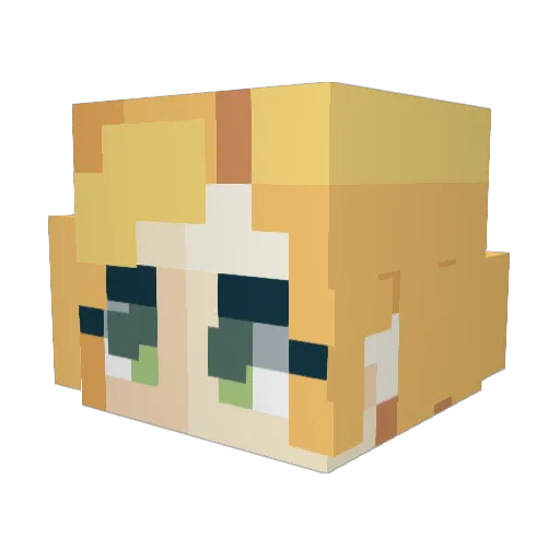 Yamp44 Minecraft avatar head, 3D render