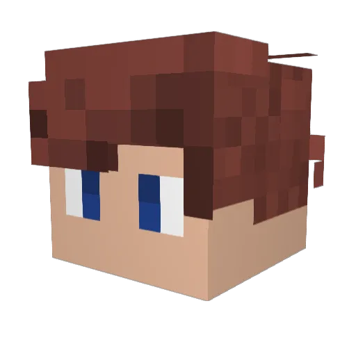 Yan234 Minecraft avatar head, 3D render