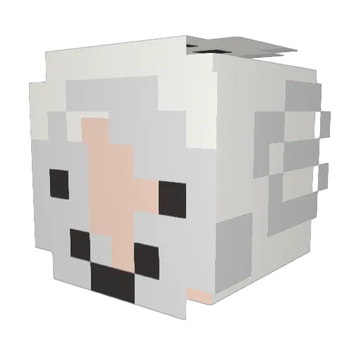Yan9131 Minecraft avatar head, 3D render