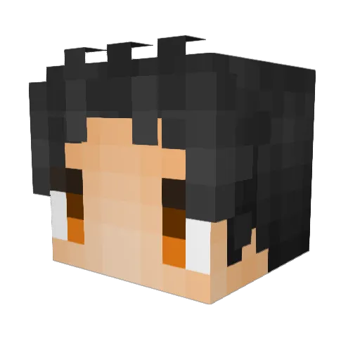YangLei666 Minecraft avatar head, 3D render