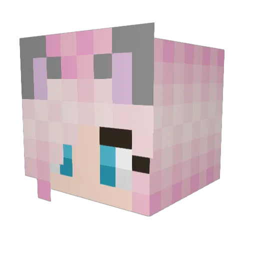 YangNewsom Minecraft avatar head, 3D render