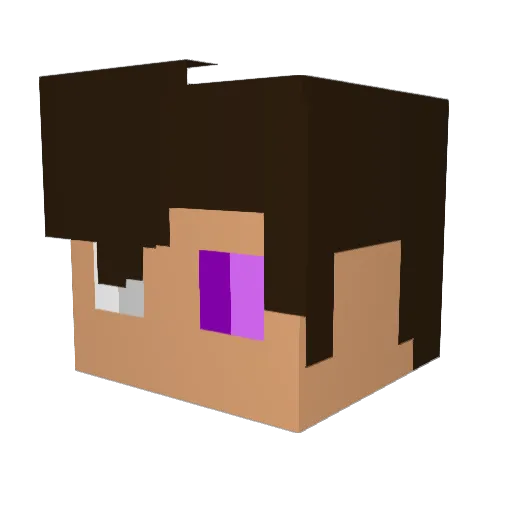YangShad0w Minecraft avatar head, 3D render