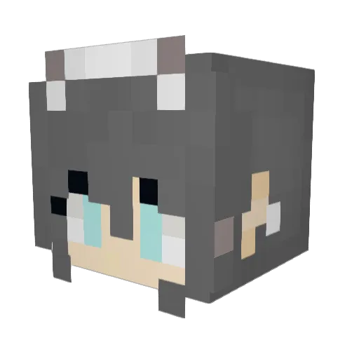 Yang_______ Minecraft avatar head, 3D render