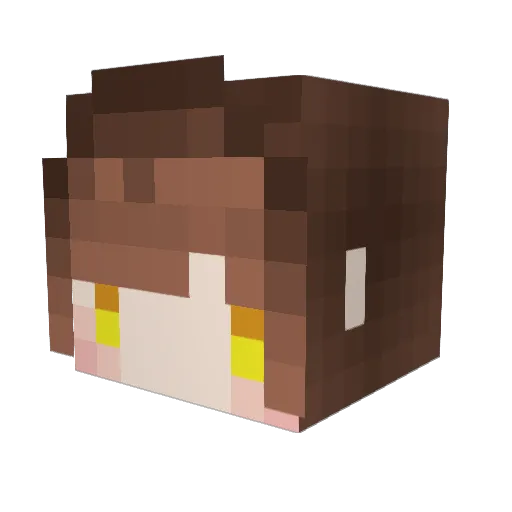 Yangcan0802 Minecraft avatar head, 3D render