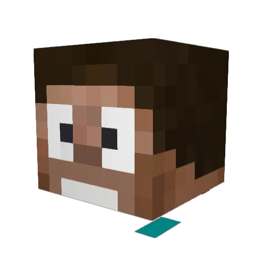 Yangjiong Minecraft avatar head, 3D render