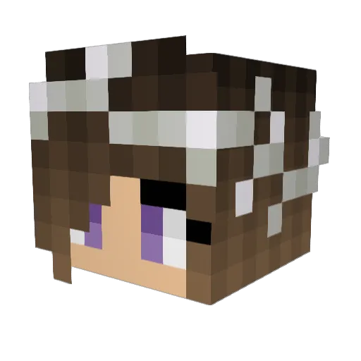 Yangles Minecraft avatar head, 3D render
