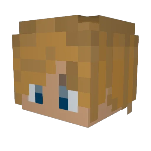 Yangster_r Minecraft avatar head, 3D render