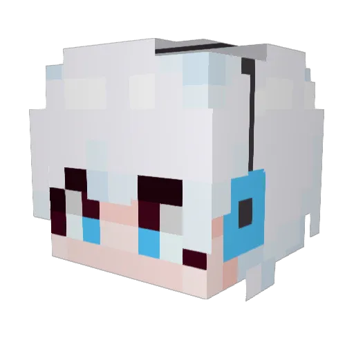 Yangtrio0402 Minecraft avatar head, 3D render