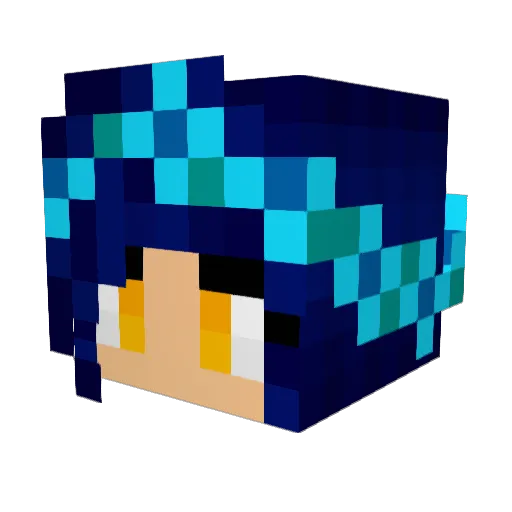 Yani_3 Minecraft avatar head, 3D render