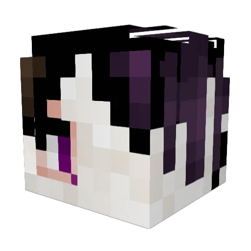 Yaniboygames Minecraft avatar head, 3D render