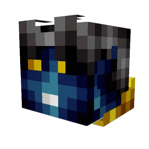 Yanis5555 Minecraft avatar head, 3D render
