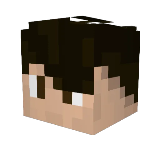 Yanis880 Minecraft avatar head, 3D render