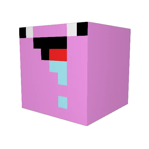 YankeeMan323 Minecraft avatar head, 3D render