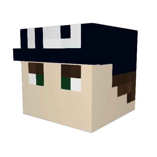 YankeesNation Minecraft avatar head, 3D render